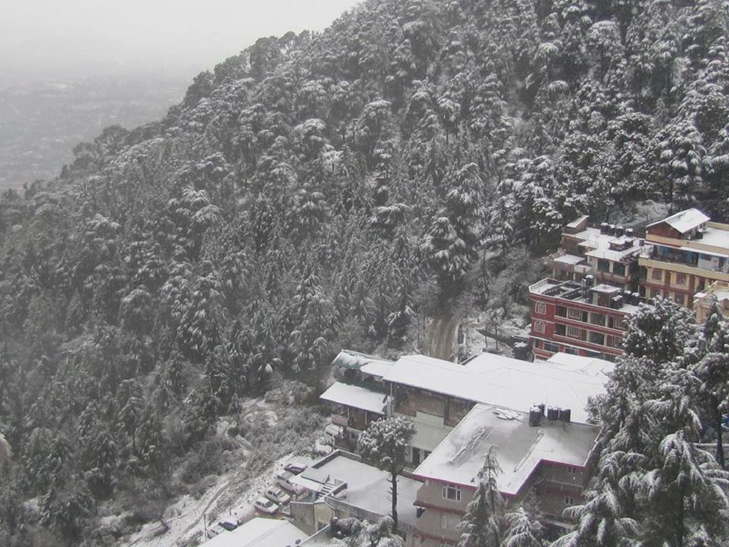 Hotel Deodar Villa 达兰萨拉 外观 照片