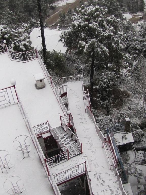 Hotel Deodar Villa 达兰萨拉 外观 照片